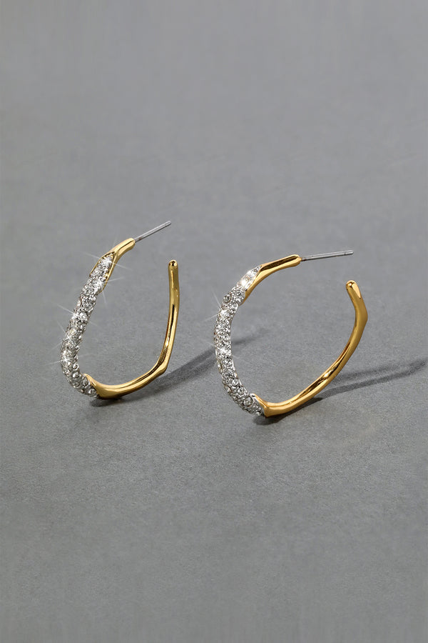 Alexis Bittar Two Tone Gold Pave Hoop Earring