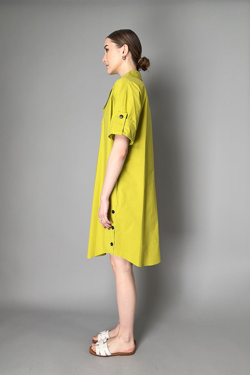 Antonelli Michela Collared Cotton Shirt Dress in Chartreuse