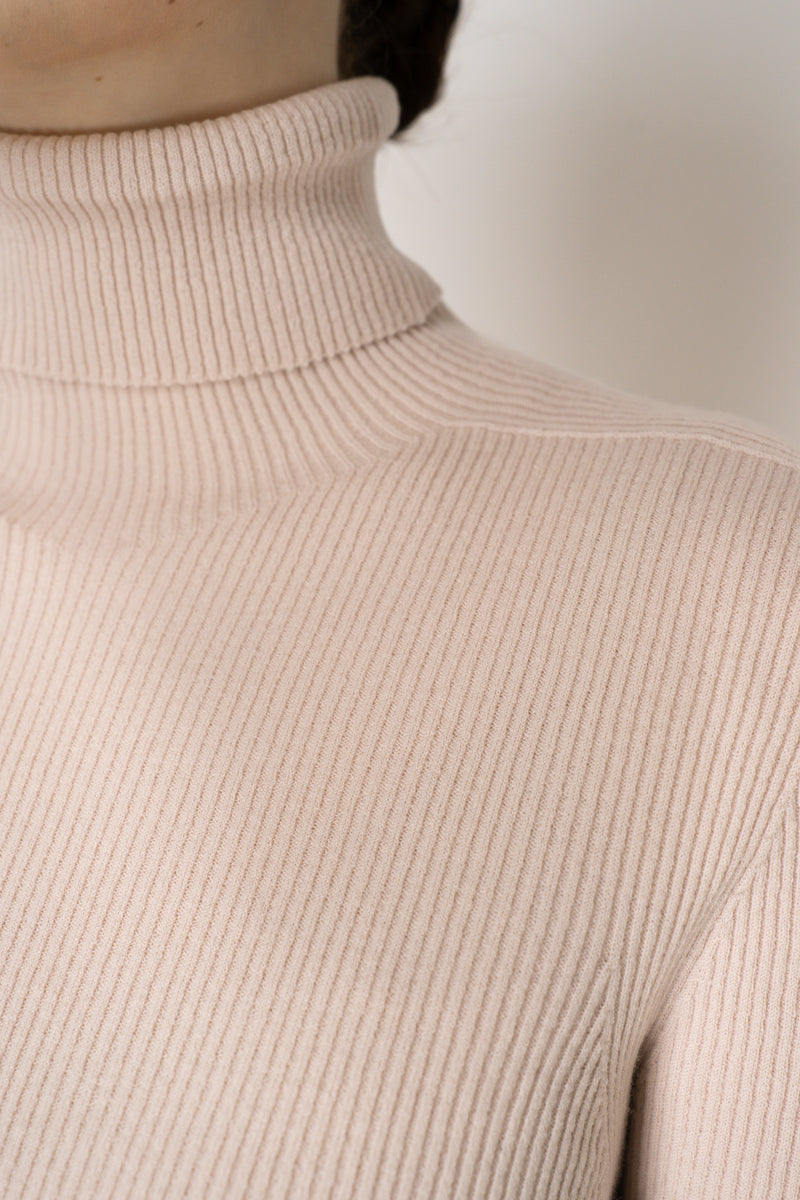 D. Exterior Virgin Wool Knit Ribbed Turtleneck in Nude Pink Vancouver. Shop Online or in Store.