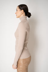 D. Exterior Virgin Wool Knit Ribbed Turtleneck in Nude Pink Vancouver. Shop Online or in Store.