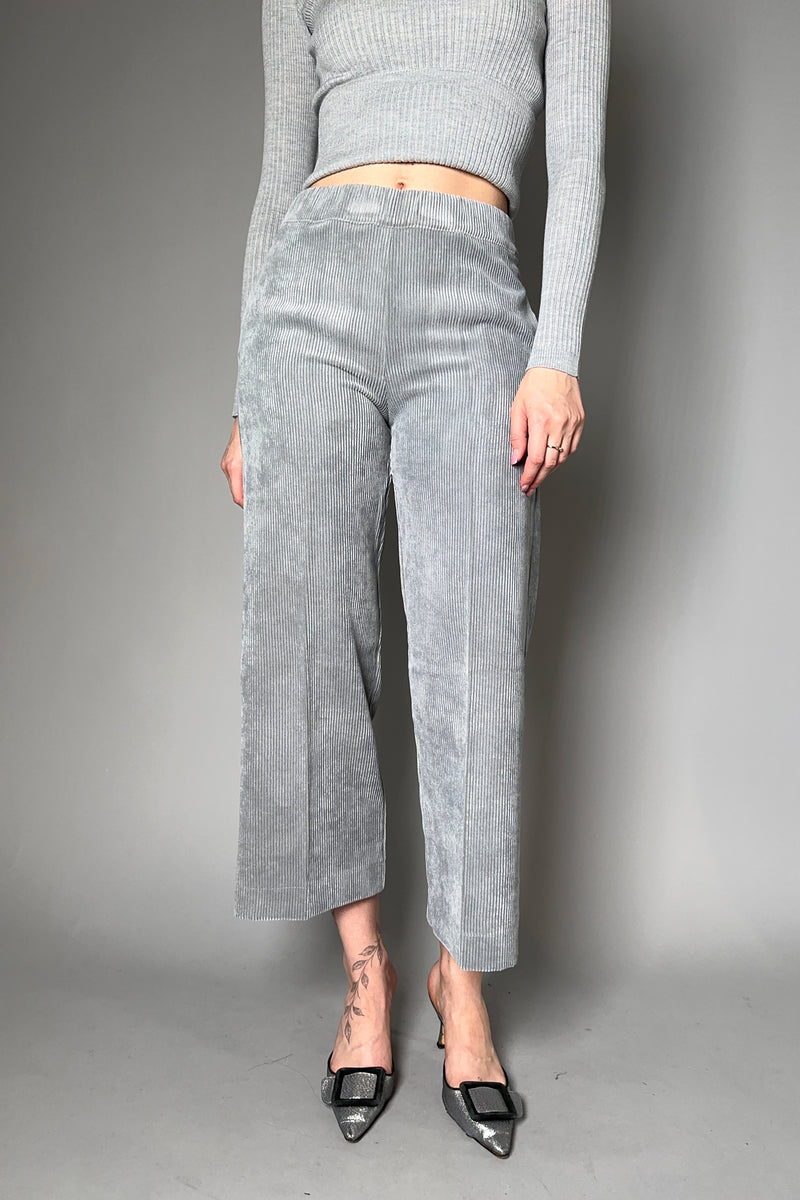 D. Exterior Cropped Wide Leg Velvet Corduroy Pants in Stone - Ashia Mode - Vancouver