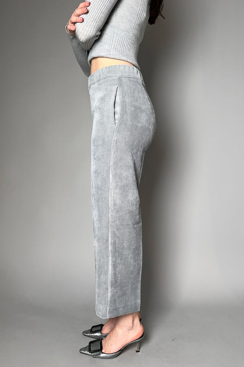 D. Exterior Cropped Wide Leg Velvet Corduroy Pants in Stone - Ashia Mode - Vancouver