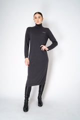 Peserico Long Sleeve Turtleneck Knit Dress in Grey Vancouver. Shop Online or in Store.