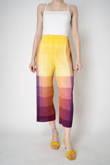 Pleats Please Issey Miyake "Photon" Straight Leg Pants in Yellow  Multicolour Print Vancouver. Shop Online or in Store.