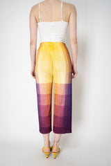 Pleats Please Issey Miyake "Photon" Straight Leg Pants in Yellow  Multicolour Print Vancouver. Shop Online or in Store.