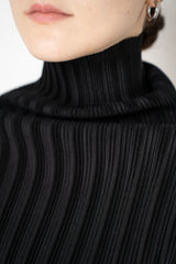 Pleats Please Issey Miyake Rib Pleats Basics Turtleneck in Black Vancouver. Shop Online or in Store.