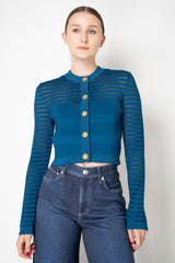 Balmain Knit Viscose Stripe Cardigan in Blue