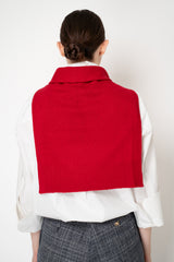 Fabiana Filippi Wool Cashmere Knit Shoulder Shrug with Faux Sleeve in Red