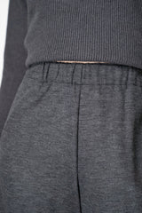 Fabiana Filippi Boiled Wool Wide Cropped Pants With Filo Diamante Loop in Grey