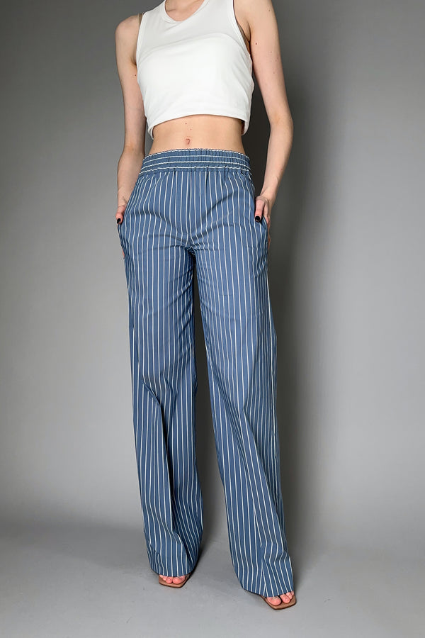 D. Exterior Straight Leg Pinstripe Cotton Pants in Denim Blue