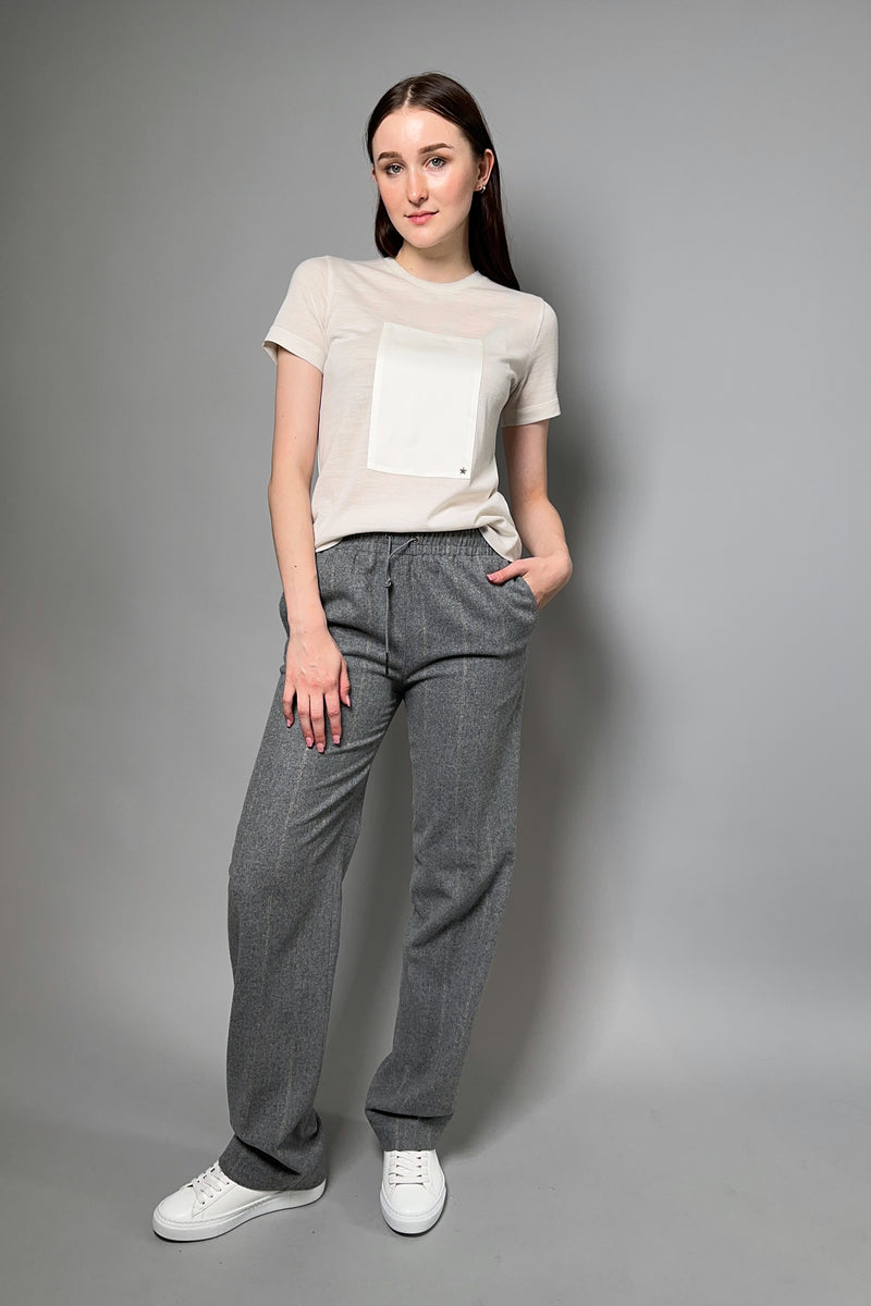 Fabiana Filippi Pinstripe Wool Drawstring Trousers in Grey Melange
