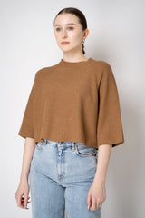Fabiana Filippi Cotton Knit Cropped Short Sleeve Sequined Top in Sienna