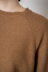 Fabiana Filippi Cotton Knit Cropped Short Sleeve Sequined Top in Sienna