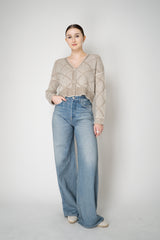 D. Exterior Wool Alpaca Cropped Knit Sequined V-Neck Cardigan in Gesso